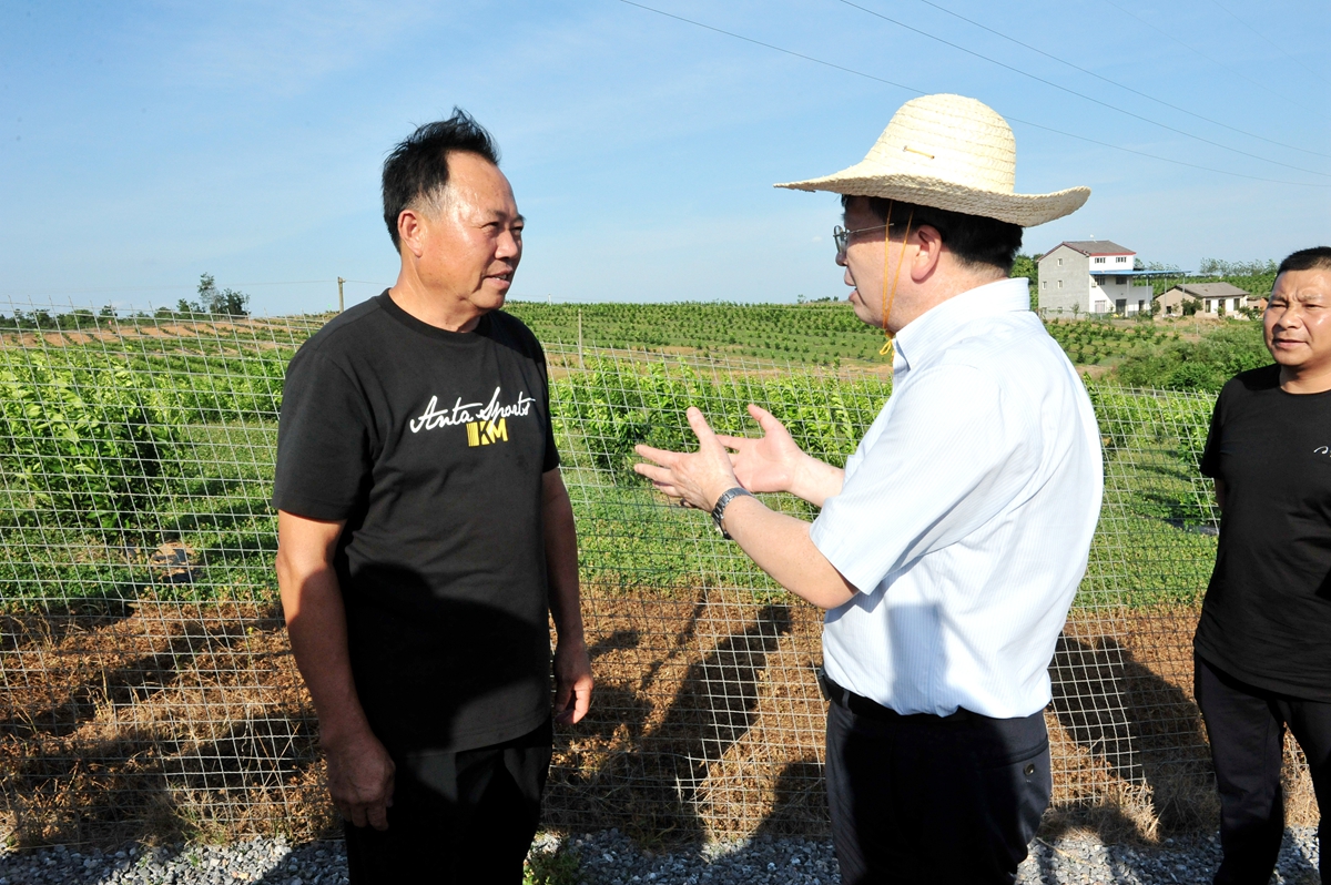 邓秀新在鸦鹊岭镇金和村与橘农交流（记者 徐行 摄）_副本